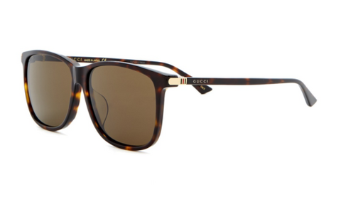 Gucci Sunglasses GG0017SA 30001030 002